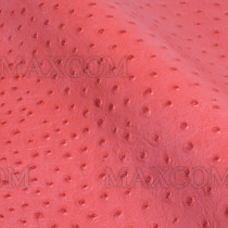 Color Samples Embossed Leather